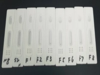 SARS-CoV-2（COVID-19）IgM / IgG抗體快速檢測(cè)
